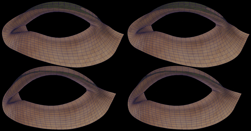 Blendshape transfer without correspondence constraints